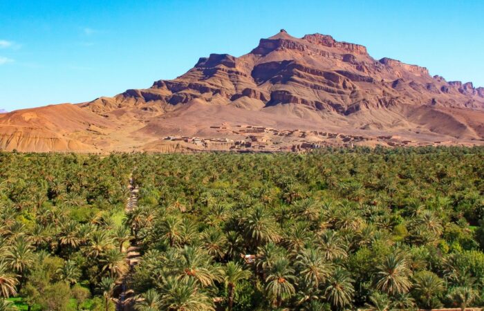 Il palmeto di Agdz ai piedi del Jebel Kissane