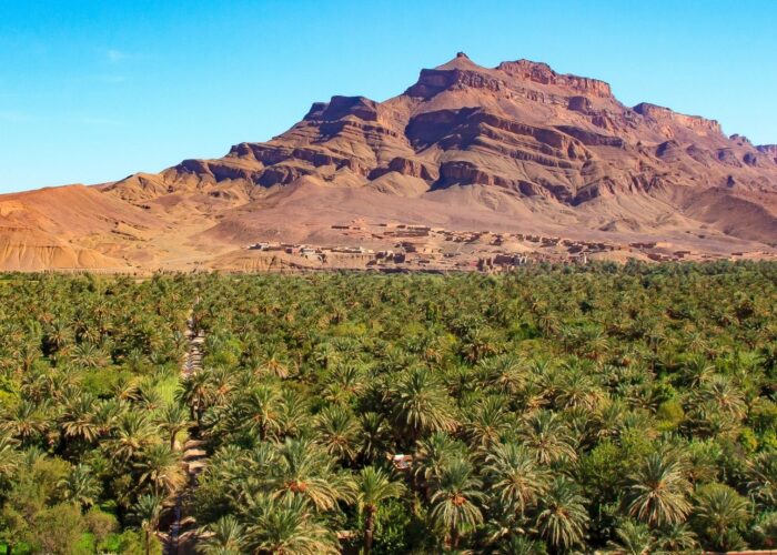 Il palmeto di Agdz ai piedi del Jebel Kissane