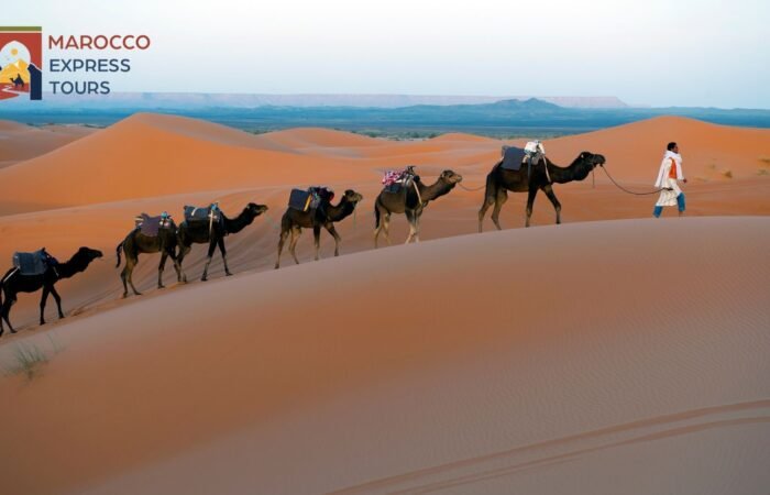 Carovana di dromedari sulle dune di Erg Chebbi