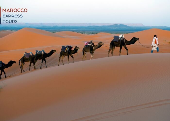 Carovana di dromedari sulle dune di Erg Chebbi