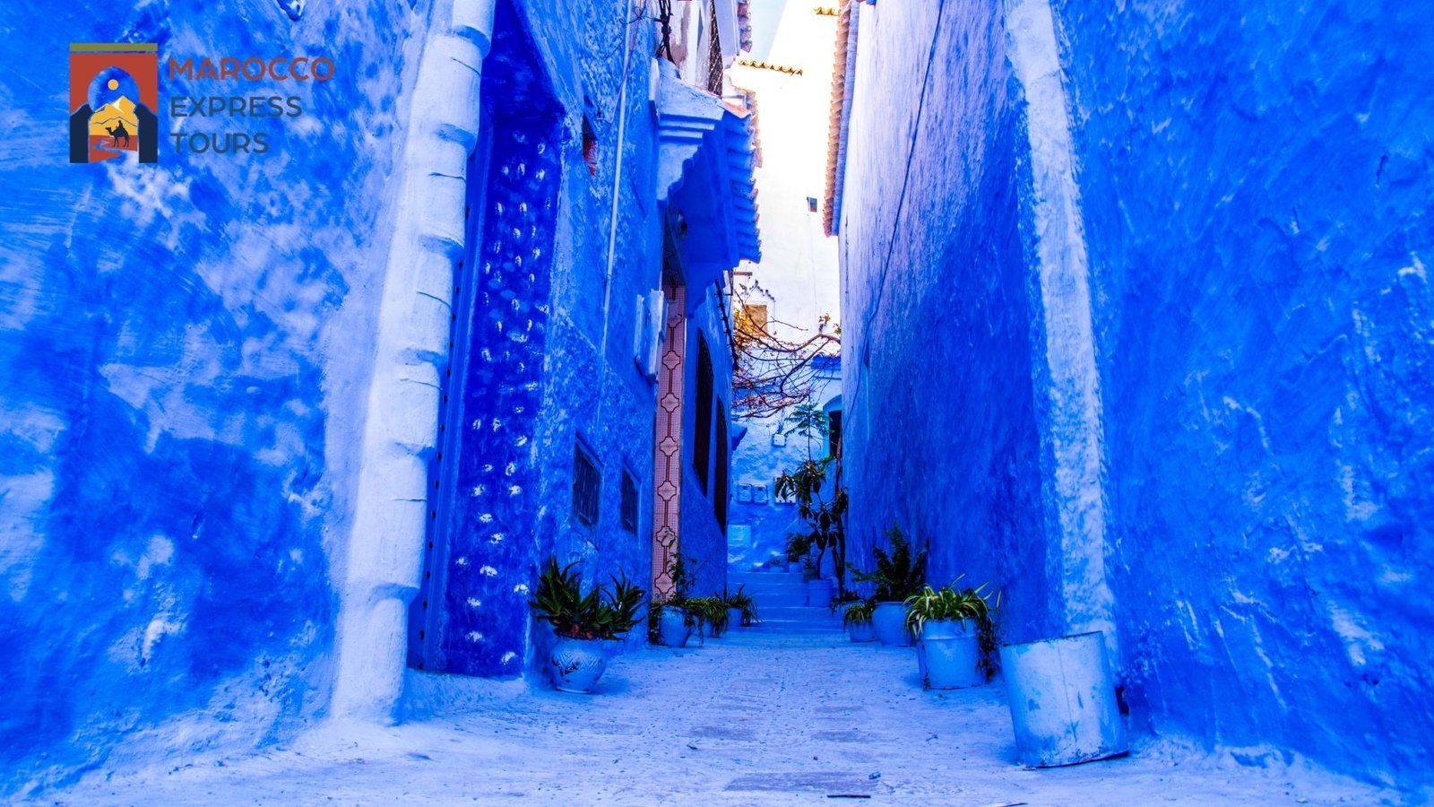 Arco e piante nella medina blu