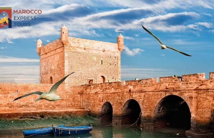 La Skala di Essaouira e i gabbiani