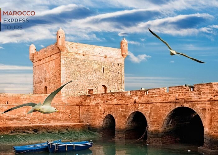 La Skala di Essaouira e i gabbiani